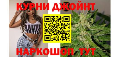 СК Севастополь