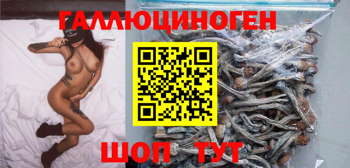 Псилоцибиновые грибы Magic Shrooms Ревда